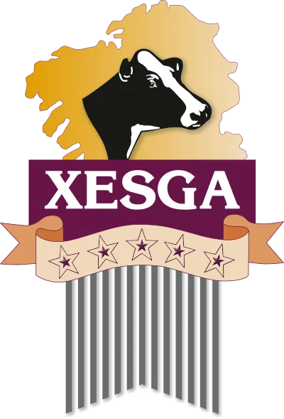xesga